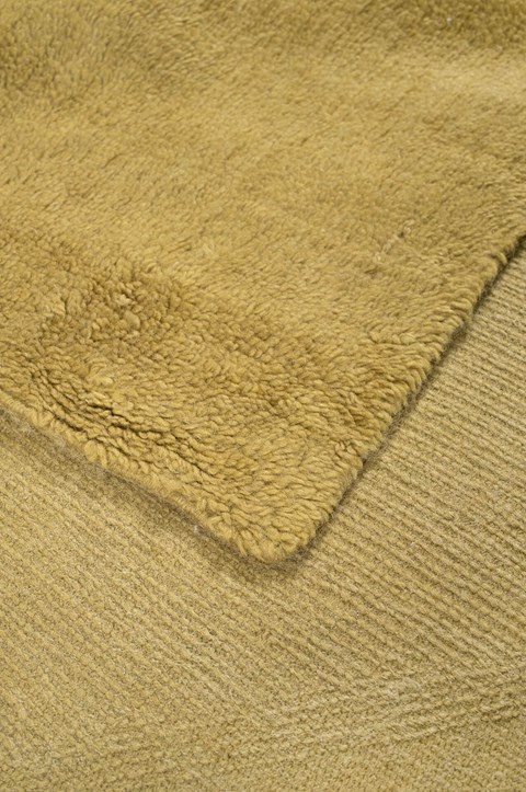 papillion maggiore p0746 480 normal 2