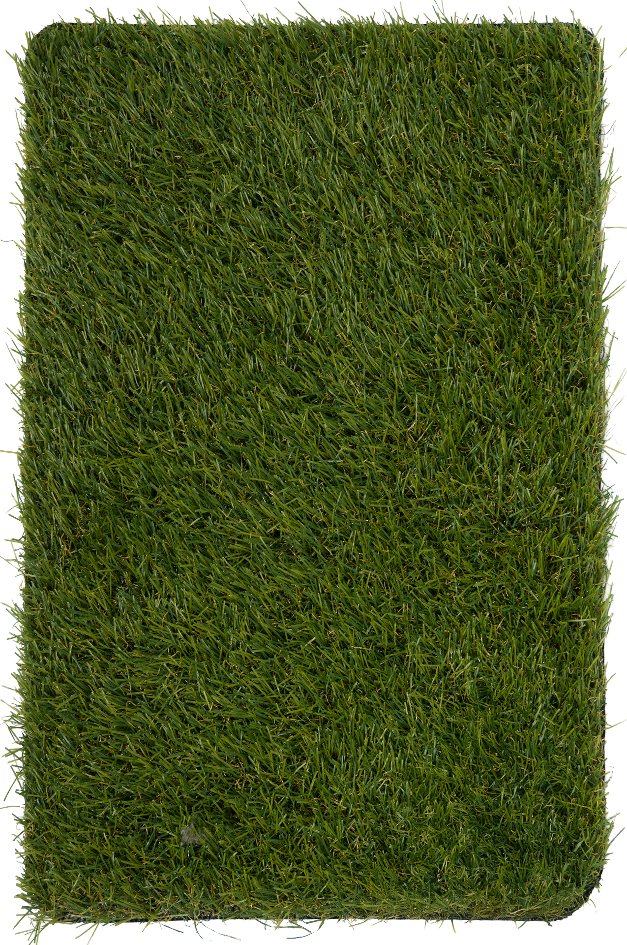 Carpet Strom DM - Sole Grass - ECO - 28mm