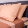 HOME Raw Terra - Powder - Image 5