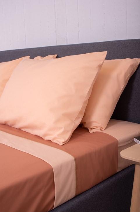 HOME Raw Terra - Powder - Image 5