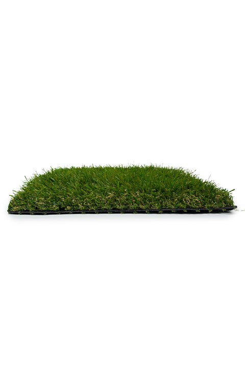 Sole Grass - 50mm - Image 4